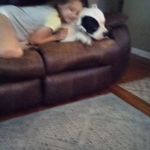 Meet your Posher, Belle